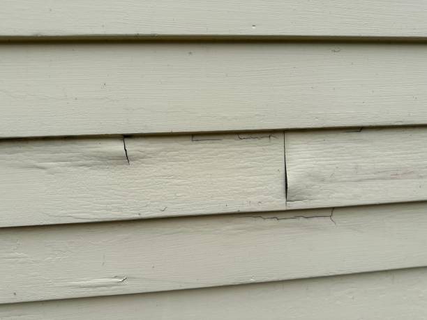 Affordable siding repair and maintenance services in Bloomfield, MO